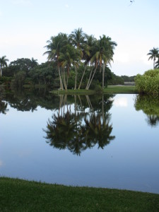 Fairchild Tropical Garden - Coral Gables, FL